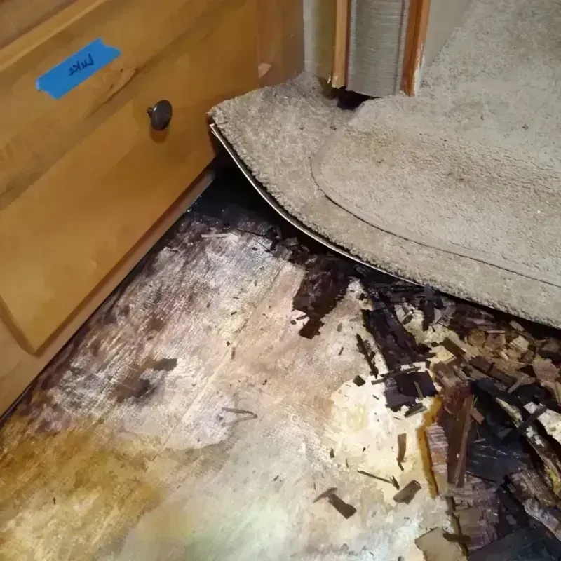 Wood Floor Water Damage in Forest Glen, MD